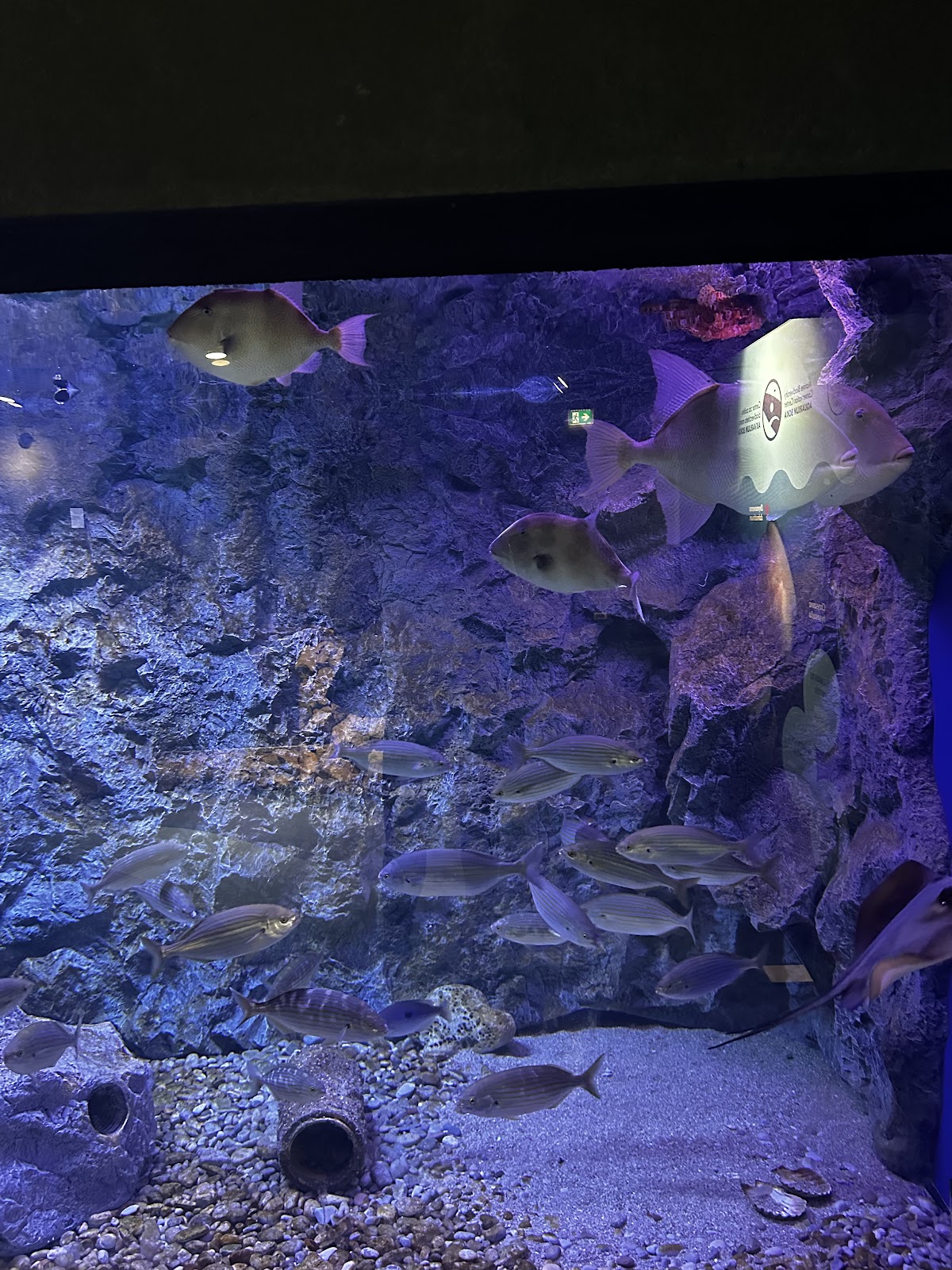 Aquarium Boka